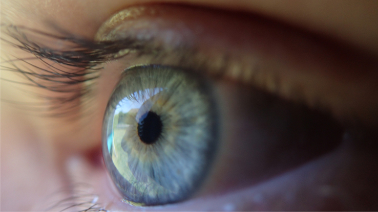 Ojo detalle